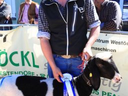 2019_ausstellung polling_464